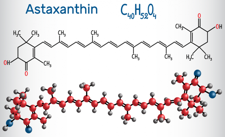 Astaxanthin – Hoạt chất chống oxi hóa mạnh mẽ - Southern Skincare