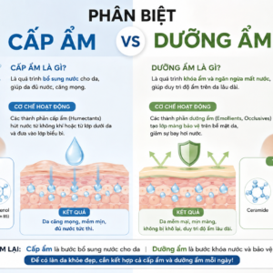 Phân biệt cấp ẩm và dưỡng ẩm