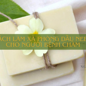 Cách làm xà phòng dầu neem cho người bệnh chàm