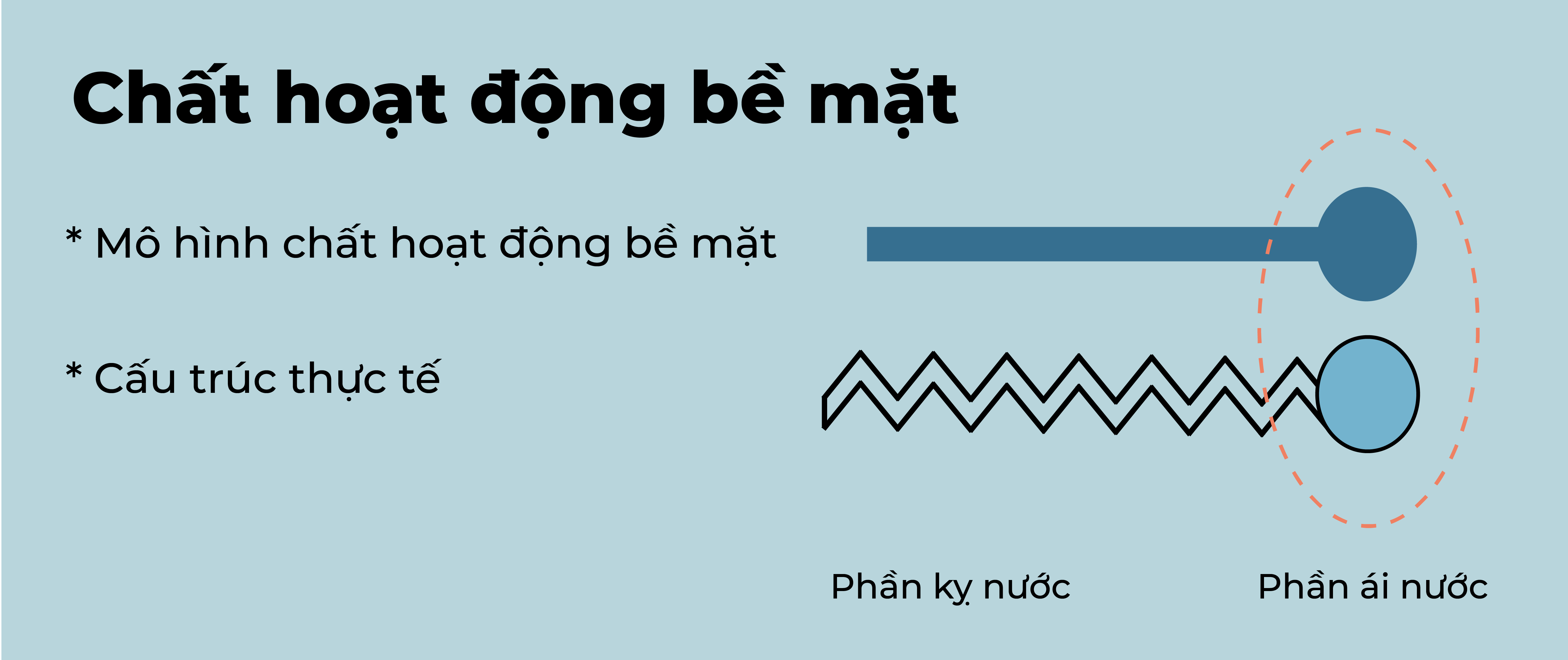 Cấu trúc chất hoạt động bề mặt