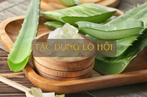 Tác dụng lô hội