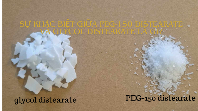 Sự khác biệt giữa PEG-150 distearate và glycol distearate là gì?