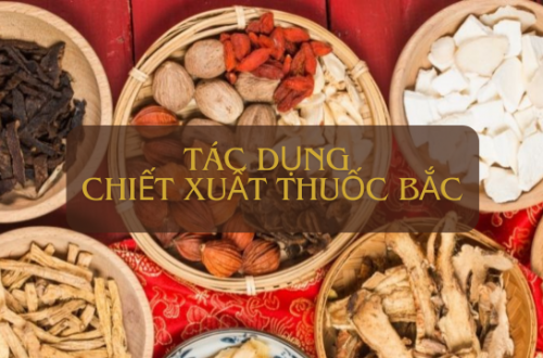 Tác dụng chiết xuất thuốc Bắc