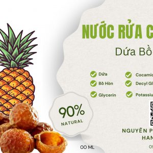 Nước rửa chén dứa bồ hòn Nguyễn Phượng