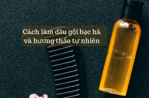 Cách làm dầu gội bạc hà và hương thảo