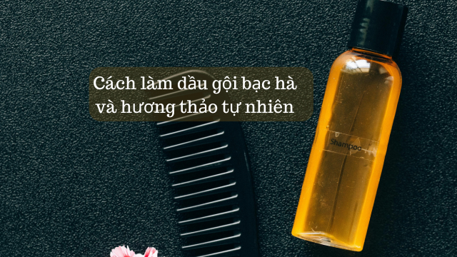 Cách làm dầu gội bạc hà và hương thảo