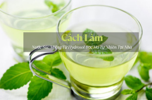 Hướng Dẫn Cách Làm Nước Súc Miệng Từ Hydrosol Bạc Hà Tự Nhiên Tại Nhà