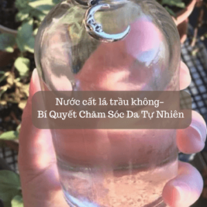 Nước chưng cất trầu không