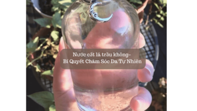 Nước chưng cất trầu không
